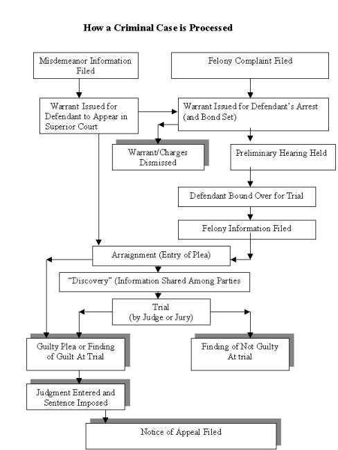 Criminal Case Chart